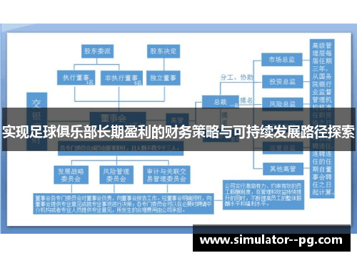 实现足球俱乐部长期盈利的财务策略与可持续发展路径探索