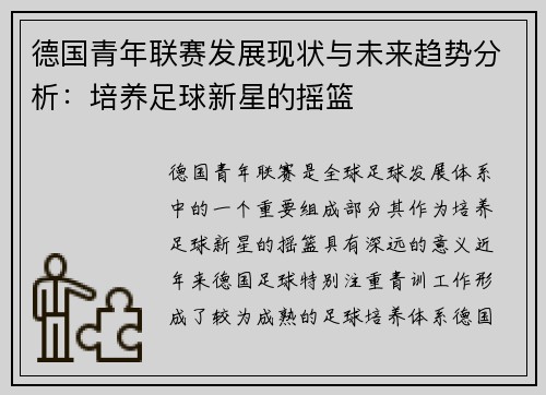 德国青年联赛发展现状与未来趋势分析：培养足球新星的摇篮