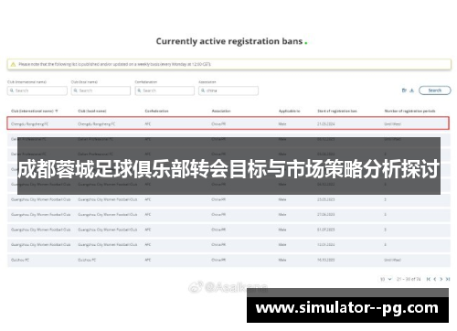 成都蓉城足球俱乐部转会目标与市场策略分析探讨